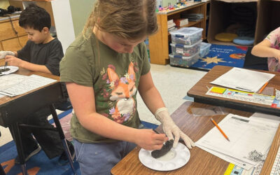 Lyle students use owl pellets to study ecosystems