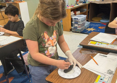Lyle students use owl pellets to study ecosystems