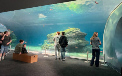 Toutle Lake Middle School marine biology students visit aquarium & zoo