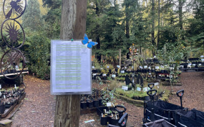 Student-led habitat project transforms school courtyard