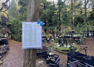 Student-led habitat project transforms school courtyard