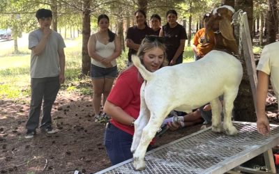 Learning with Goats: Students Gain Agriculture and Animal Science Skills