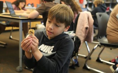 Students Hatch Chicks in the Classroom to Gain Ag Experience