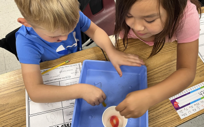 Using the Scientific Method for a Rescue Mission